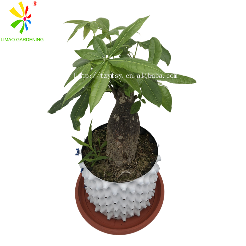 small size air pruning pots flower plant tree grow pots